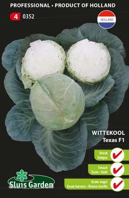 Witte kool Texas F1