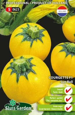 Courgette F1 Sun Ball