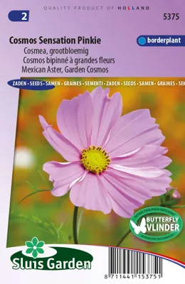 Cosmos Sensation Pinkie
