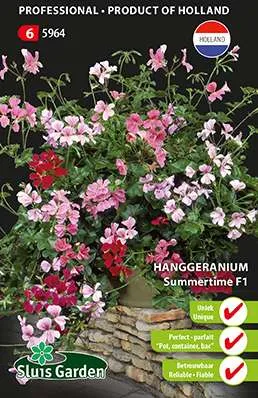 Hang-Pelargonium Summertime F1