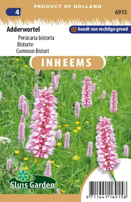 Adderwortel Persicaria bistorta