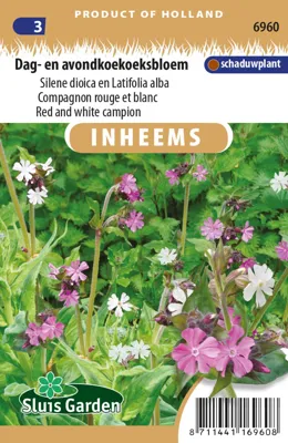 Dag- en avondkoekoeksbloem Silene dioica en Latifolia alba