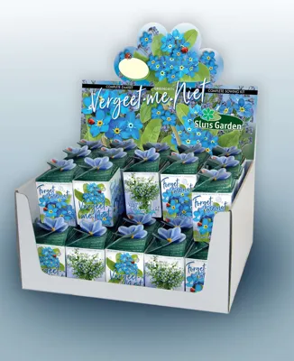 Greengift, Forget-me-not 40 pcs in showbox
