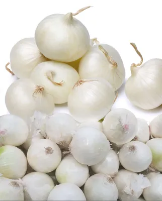 Plantui Snowball (1000 gram)