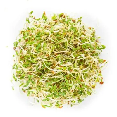 Spruitgroente Alfa Alfa ca 10 gram