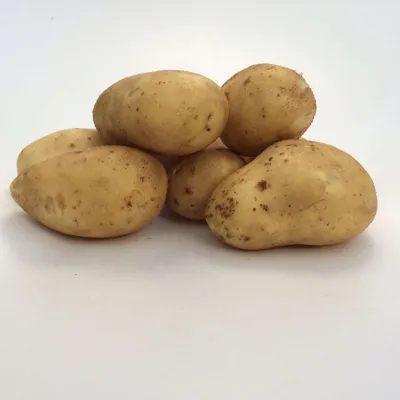 Sevilla BIO 28-35 per Kg.