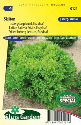 Frilled Iceberg Lettuce "Eazyleaf Skilton"