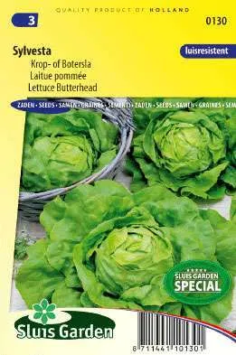 Kropsla Sylvesta