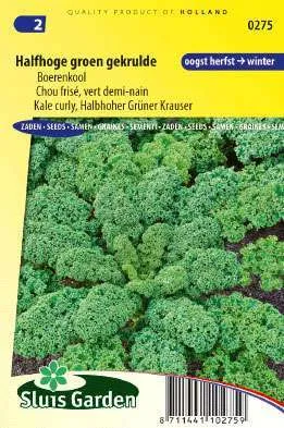 Boerenkool Halfhoge grune Krauser