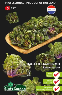 Kalettes Flouwer Sprout Garden mix Tuinders serie