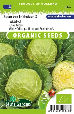 Witte Kool Roem van Enkhuizen 2 Eco