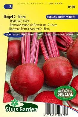 Beetroot, Red Gardenbeet Detroit dark red 2 Nero