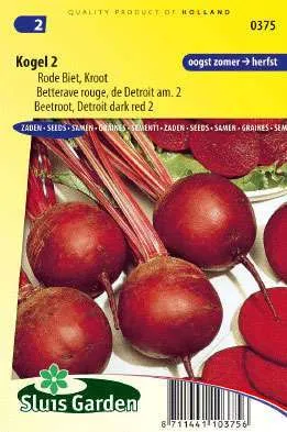 Rode biet Kogel 2