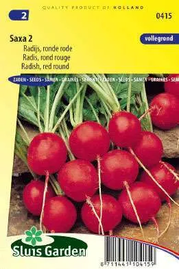 Radijs Saxa