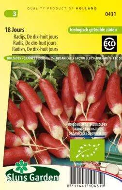 Radish 18 jours
