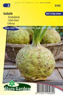 Celeriac Goliath