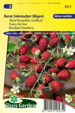 Sier/Bosaardbei Baron Solemacher Fragaria