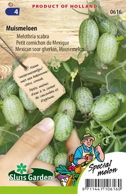 Mexican sour gherkin, Mousemelon