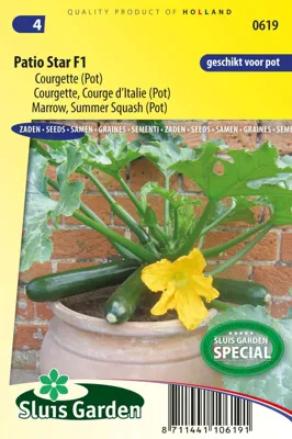 Courgette Patio Star F1 (potcourgette)