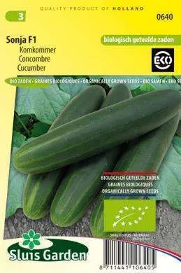 Cucumber Sonja