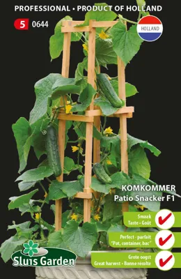 Cucumber "Patio Snacker F1"