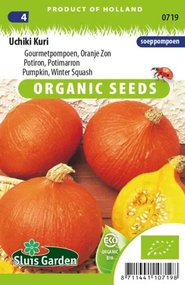 Pompoen Uchiki Kuri (gourmetpompoen) Eco