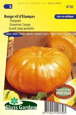 Pompoen Vif d`Etampes