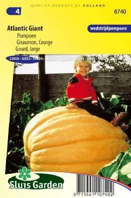 Pompoen Atlantic Giant