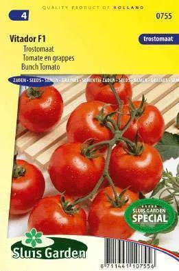 Tomato (trusses) Vitador F1