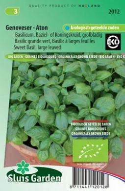 Basilicum, grofbladig. Genoveser - Gustosa