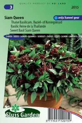 Basilicum Thaise Siam Queen