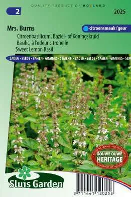 Basilicum Citroenbasilicum