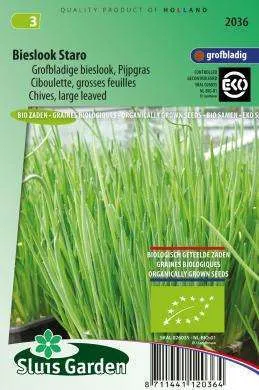 Bieslook Staro (grofbladige) Eco