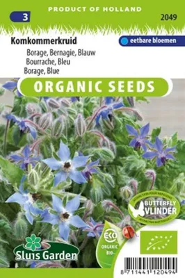 Borage komkommerkruid Blauw officinalis BIO