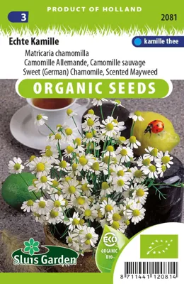 Kamille Echte (Matricaria chamomilla) Eco