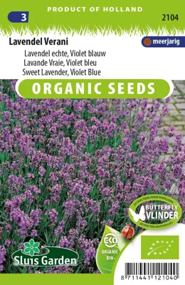 Lavendel Echte (Lavendula vera) Eco