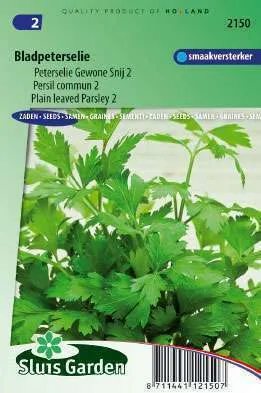 Parsley Plain Leaved 2 (Petros. hortense)