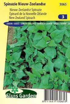Spinach New Zealand (Summer/autumn crop)