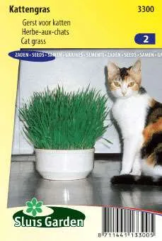 Kattengras 75 Gram