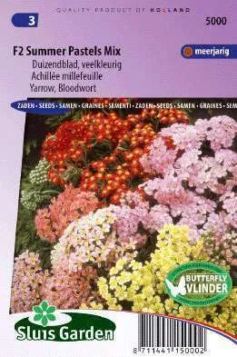 Achillea of Duizendblad