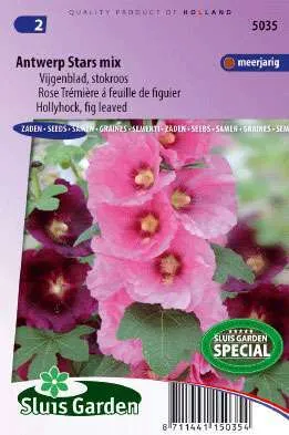 Stokroos Alcea ficifolia Antwerp Stars single