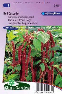 Amaranthus/Bladamarant/Kattenstaartamarant,rood Red Cascad