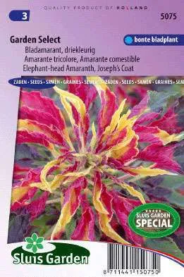 Amaranthus/Bladamarant, driekleurig Garden Select