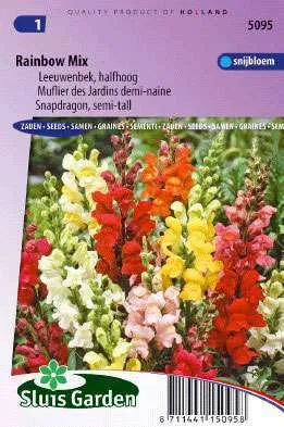 Leeuwenbek Halfhoge Gemengd, Antirrhinum