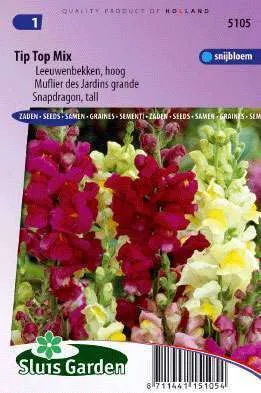 Leeuwenbek Hoge Gemengd, Antirrhinum