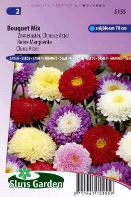 Aster Boeket Langstelige Gemengd