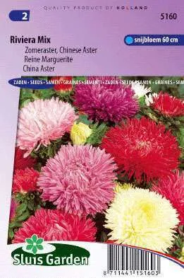 Aster Riviera gemengd