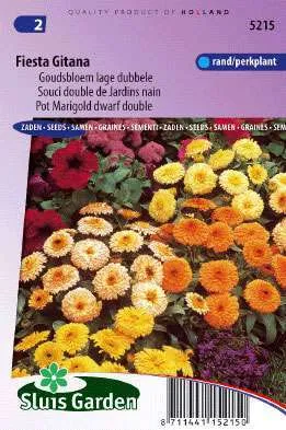 Goudsbloem Fiesta Gitana Lage Dubbele, Calendula