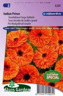 Goudsbloem Calendula officinalis Indian Prince