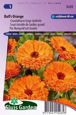 Goudsbloem Balls Orange Dubbel, Calendula